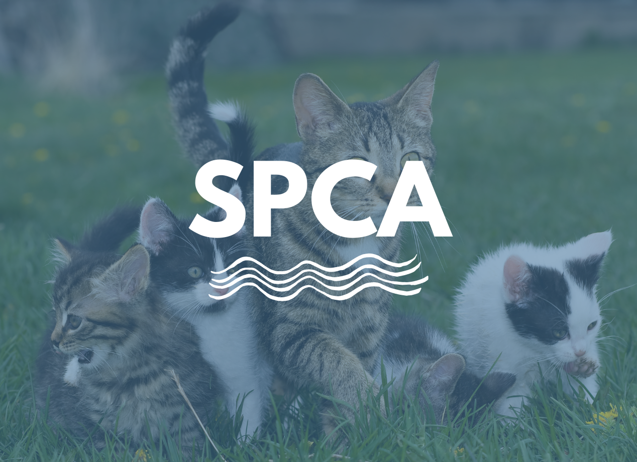 SPCA